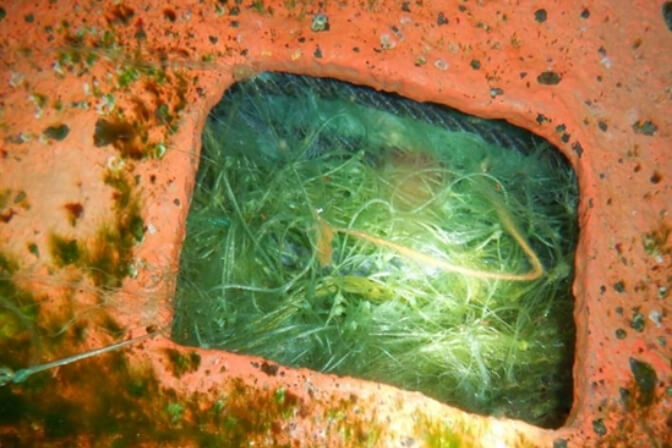 Underwater Fishing Net/Rope Removal from Rope Guard and Propeller Shaft